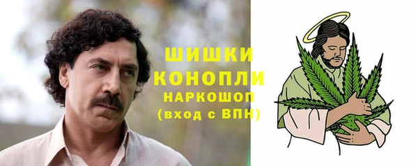 2c-b Бородино