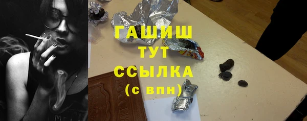 гашик Верея