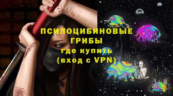 2c-b Бородино