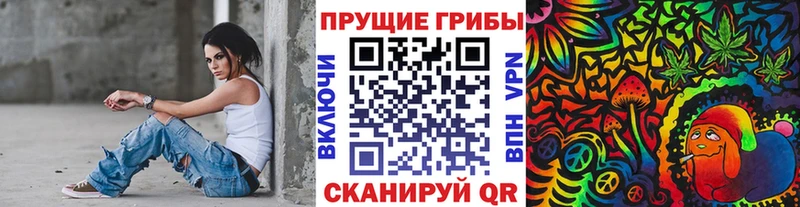 что такое   Дмитриев  Псилоцибиновые грибы MAGIC MUSHROOMS 