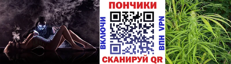 Конопля гибрид Дмитриев